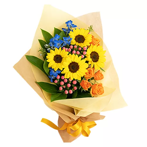 Sunshine in Bloom